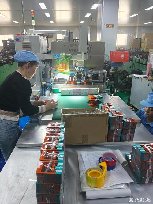预包装食品包装袋工厂车间——安全与效率并重的现代化生产纪实